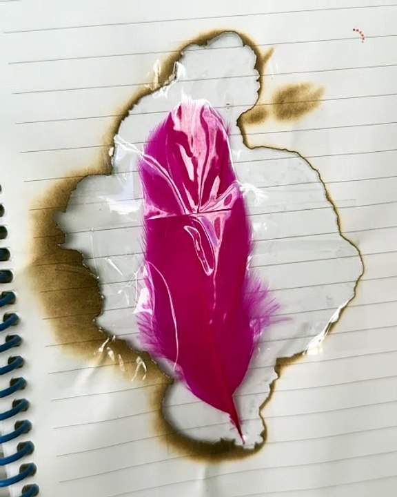 Turning a simple feather into art