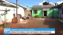 Armadilhas que capturam o Aedes aegypti são instaladas em casas de Cascavel