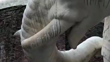 El elefante de Bernini en Roma amanece con un colmillo roto.