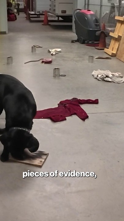 Long Island K9 unit helps solve crimes and serve justice