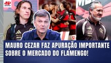 "É INFORMAÇÃO! O FLAMENGO ACREDITA que PODE CONTRATAR AGORA um..." VEJA o que MAURO CEZAR REVELOU!