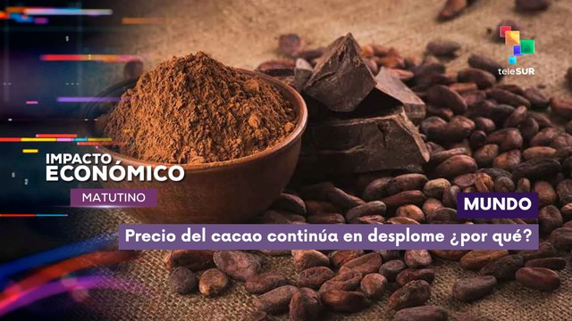 Impacto Económico | Mundo | Precio del cacao continúa en desplome ¿por qué?