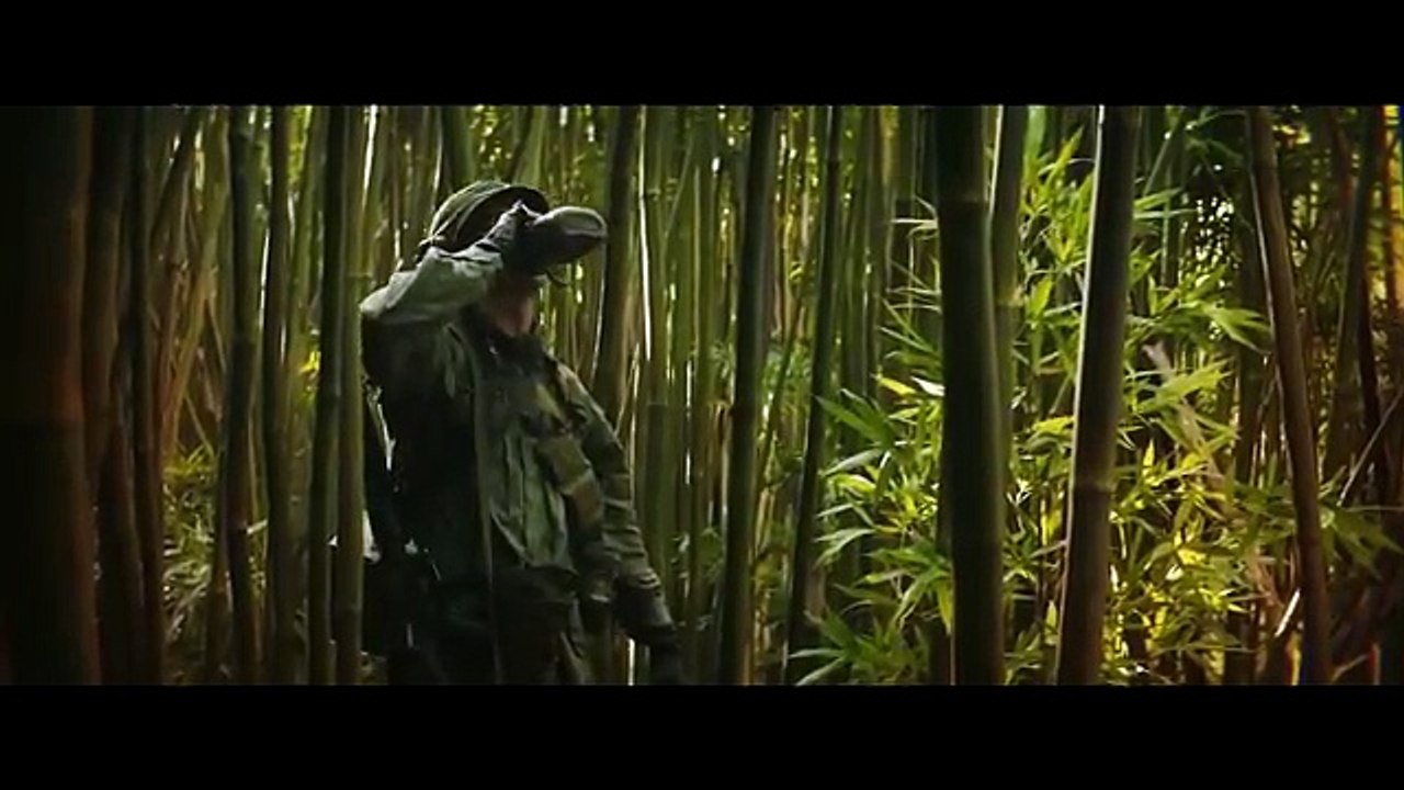 videoplayback (3)