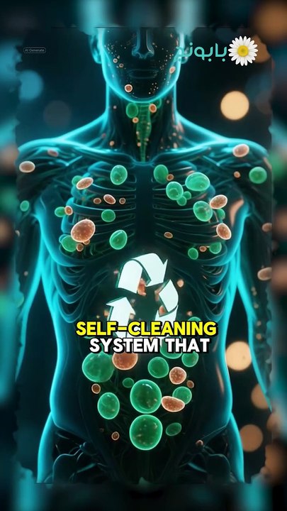 غرفة عمليات داخلية: كيف يقوم جسمك بصيانة شاملة في رمضان؟