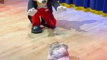 Heartwarming scene unfolds after toddler stumbles while greeting Mickey Mouse