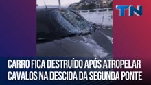 Carro fica destruído após atropelar cavalos na descida da Segunda Ponte