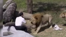 If-These-20-Zoo-Moments-Were-Not-Filmed-.mp4_180