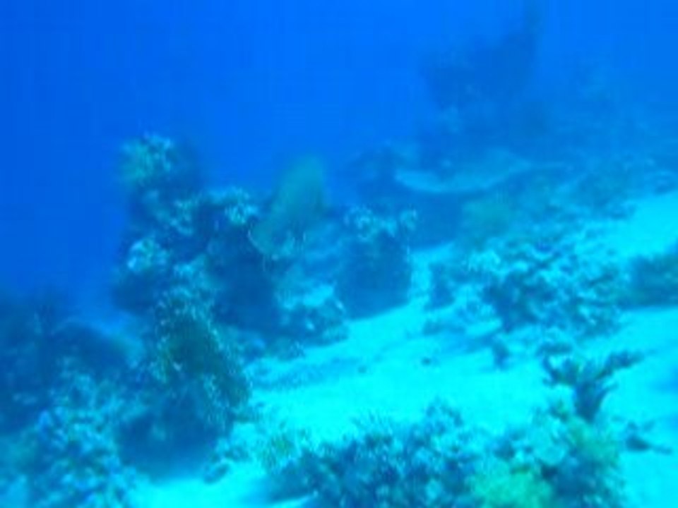 DSCN7559