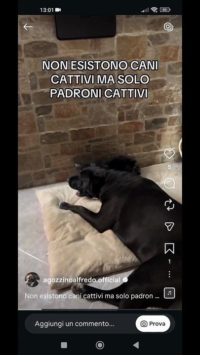 Agozzino Alfredo story e i suoi animali