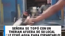 Señora se topa con un therian afuera de su local y ¡le echa agua para espantarlo!