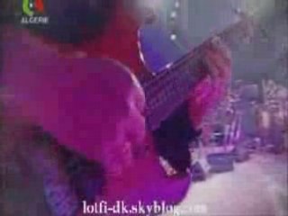 LotFi-DK feat RAdia