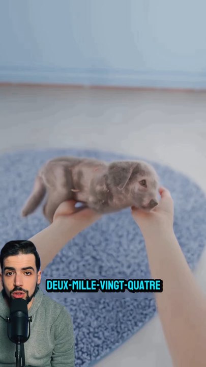 Il a sauvé le chiot