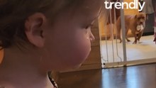 Charming Toddler Chooses Her Mouth Over Hands to Gather Food from the Floor