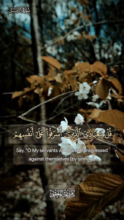 ﴿ قُلْ يَا عِبَادِيَ الَّذِينَ أَسْرَفُوا عَلَى...