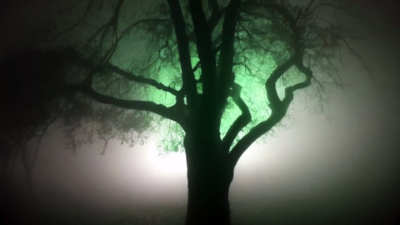 True Ghost Stories From Mexico's Most Haunted Cemetery _ Panteón de Belén