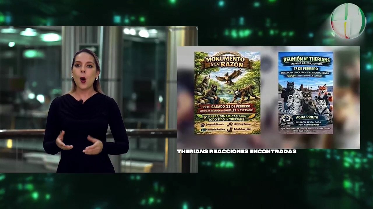 Fenómeno “Therian” irrumpe en Sonora | Veterinarios marcan límites legales | Al Cierre En Vivo