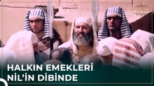 Kahinler Kendi Sonunu Hazırladı | Hz. Yusuf