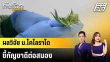 ผลวิจัย ม.โคโลราโดชี้กัญชาดีต่อสมอง |ทันโลก EXPRESS | 19 ก.พ. 69