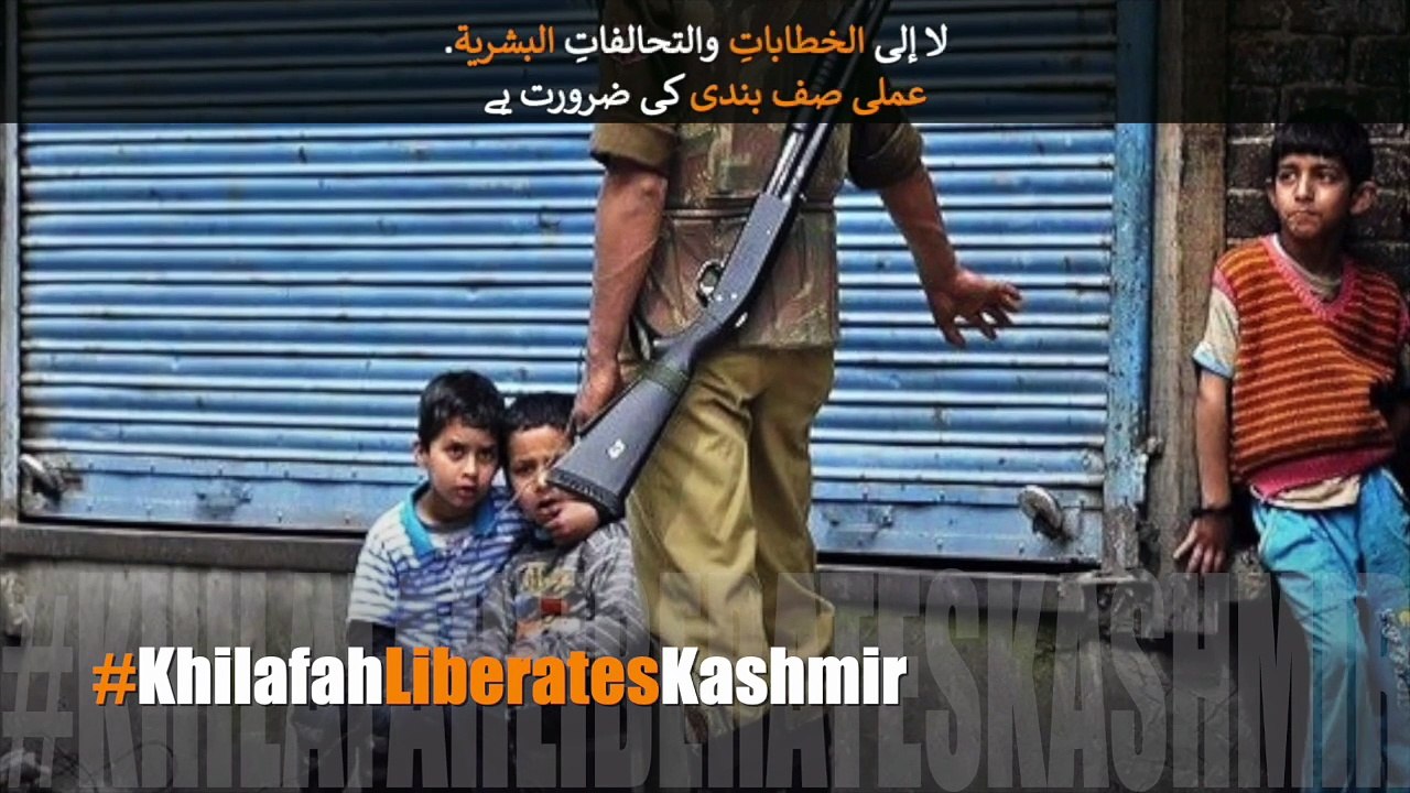 مقبوضہ کشمیر کو تقاریر اور انسانی زنجیروں کی نہیں، پاکستان کی مسلح افواج کی عملی صف بندی کی ضرورت ہے