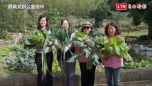蔡英文大年初三「拔菜割蔥」 比噓自爆「菜是別人煮的」