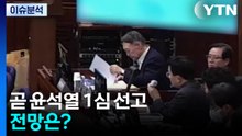 곧 윤석열 1심 선고...전망은? / YTN