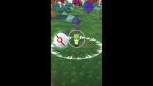 Pokémon GO-Shadow Caterpie