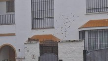El sonido de los 30 disparos en la fachada de una casa de la Urbanización Jardines en Gerena.