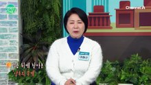 슬픔 뒤에 찾아온 상속의 무게! 1억 넘는 빚더미 상속 사망보험금 받아도 될까요?