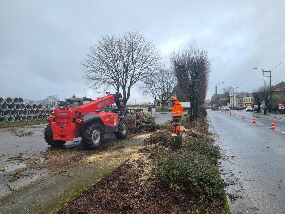 Côtes-d'Armor : des arbres abattus sur ce boulevard à Loudéac