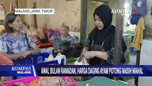 Awal Bulan Ramadan, Harga Daging Ayam Potong Masih Mahal