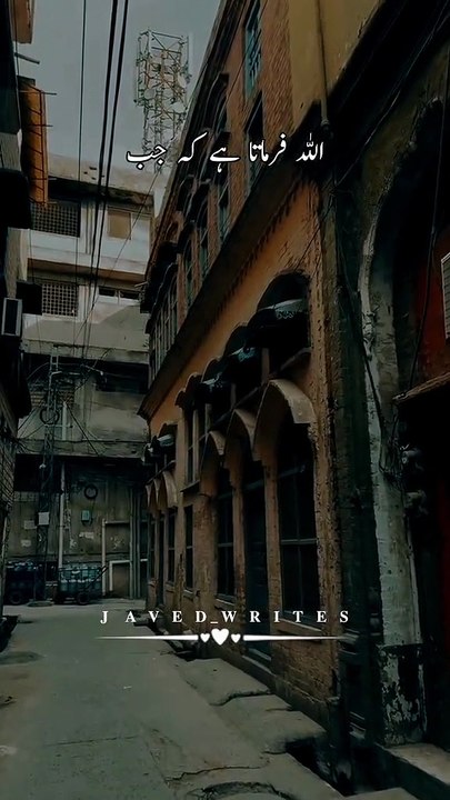 VID-20251221-WA0010