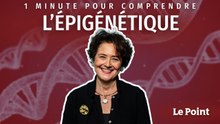 Épigénétique : 1 minute pour comprendre
