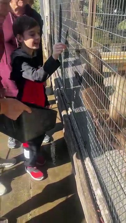 Otter Feeding 2023 12 27 11 11 55