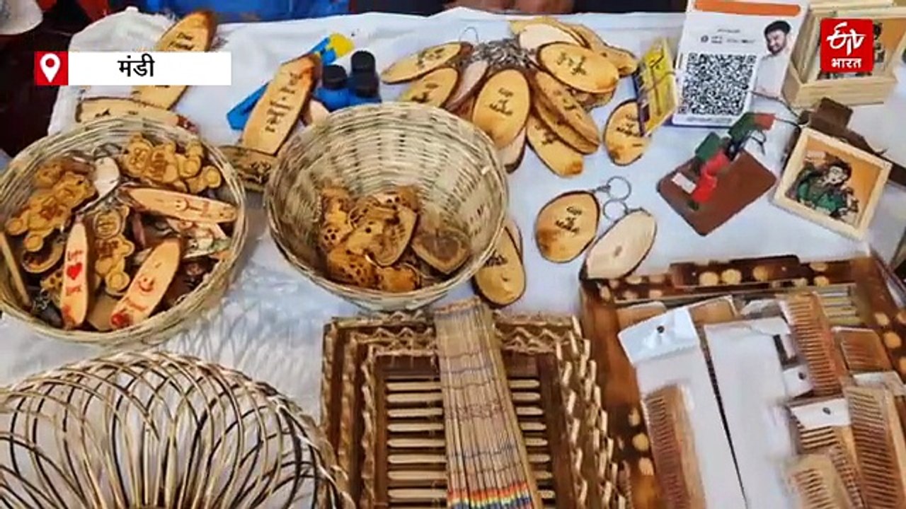 सरस मेले में दिखा आत्मनिर्भर हिमाचल का मॉडल, बैंबू आर्ट ने जीता सबका दिल