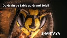 Du Grain de Sable au Grand Soleil  - SD 480p