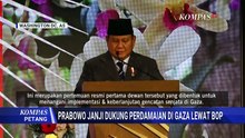 Indonesia Aktif di Board of Peace, Prabowo Konsisten Dukung Perdamaian di Gaza | KOMPAS PETANG