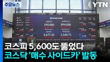 코스피 5,600도 뚫었다...코스닥 '매수 사이드카' 발동 / YTN