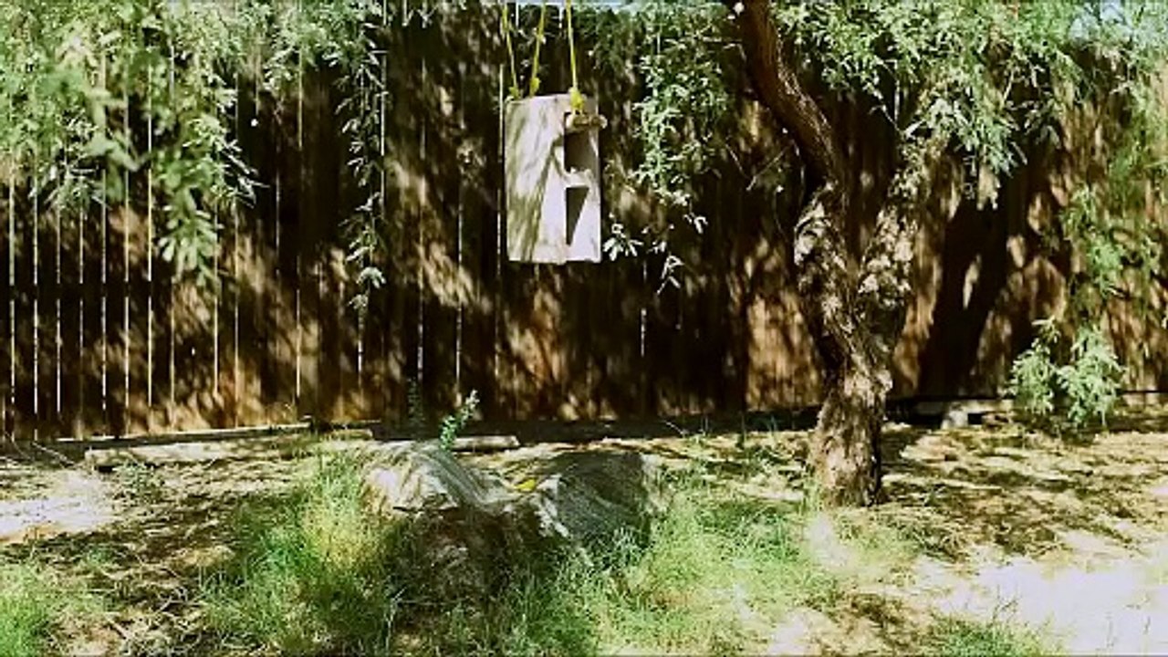 The Gardener 2026 full English drama movie #TheGardener #TheGardenerMovie #RadhaMitchell #WilliamMiller #DavidAndrews #DabneyDay #FredericFasano #JeremyLittle #SunflowerFilms #Area23a #Drama #NewMovie #Cinema2026 #April17 #HealingJourney #SelfDiscovery #B