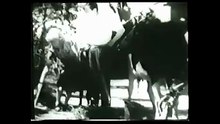 La fuga  (1937)