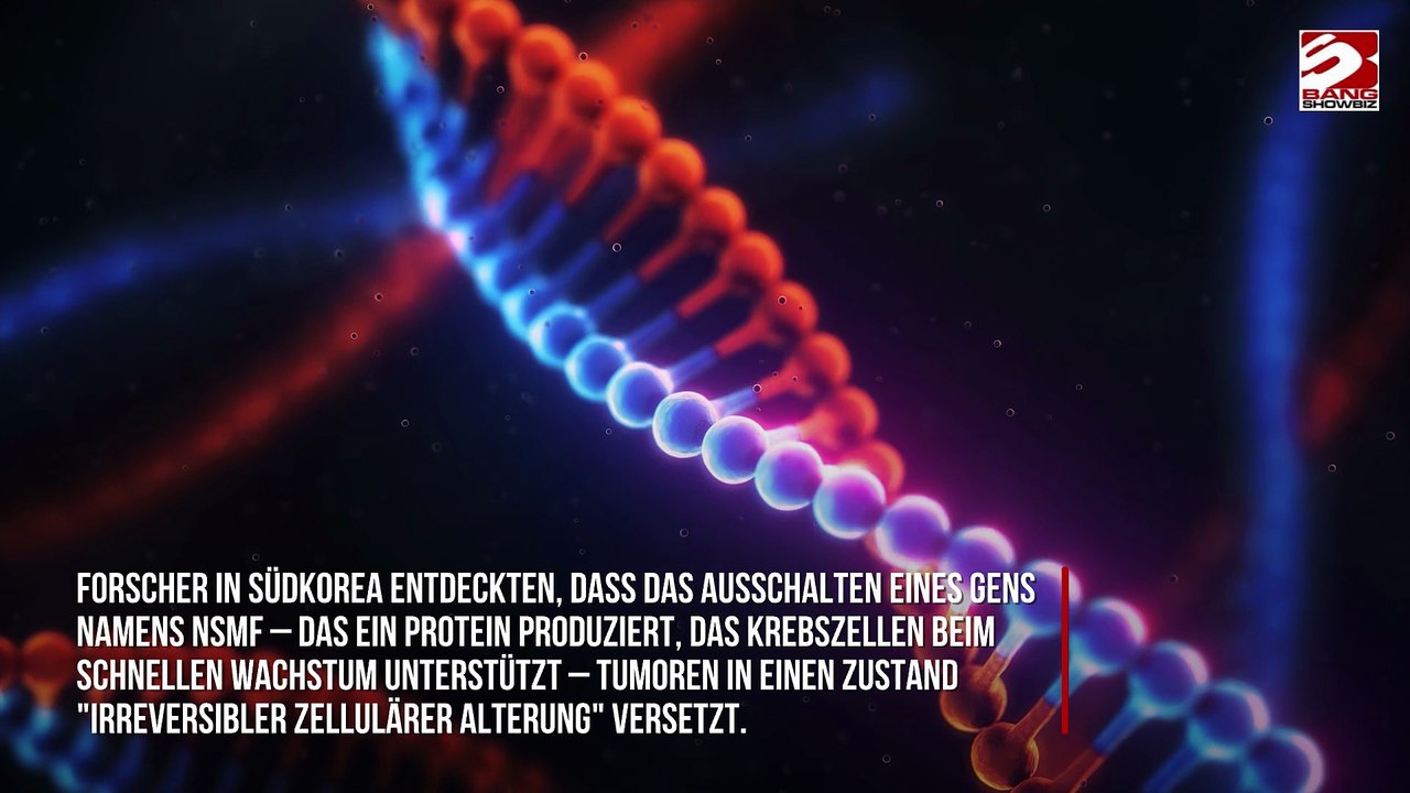 Blockieren eines Zellproteins könnte Darmkrebs verlangsamen