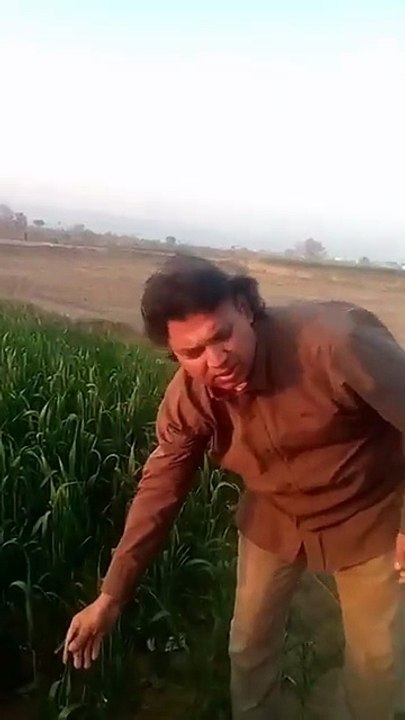 Mithun Chakraborty dialogue _viralvideo _trendingshort _rehan(360P)