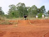 1ºDesafio Brasil de Skate Off-Road