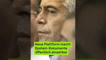 Epstein-Files: Neue Plattform macht Epstein-Dokumente öffentlich einsehbar