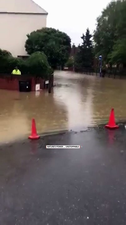 This Flood Completely Took Over the Town 😳🌊 || ViralID