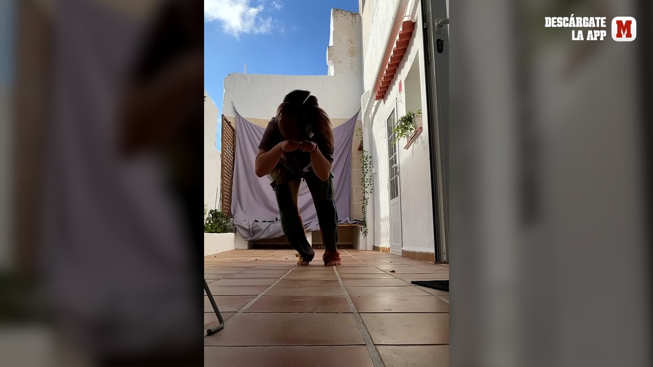 Así son los ‘therians’, los jóvenes que actúan y viven como si fueran animales.