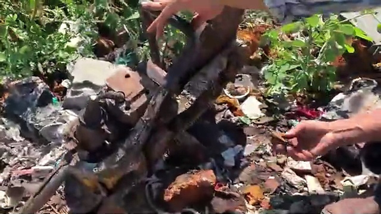 Full Restoration PARTNER saw Cutting _ Restored Partner two-stroke Vintage(360P)