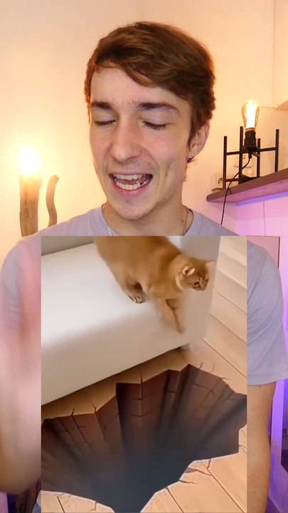 Illusion chez les animaux