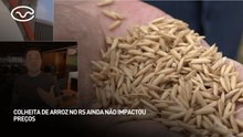 Colheita de arroz no RS ainda não impactou preços