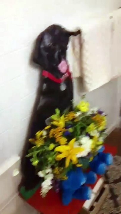 #533. Flashback to one of the best days ever! Cuz's baby shower! Getting ready.