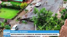 Veja os estragos causados pelo temporal em Maripá